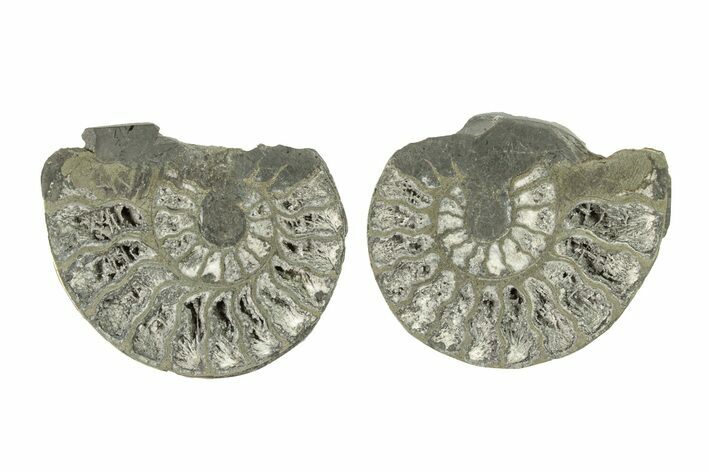 Pyritized Cut Ammonite Fossil Pair - Morocco #276689